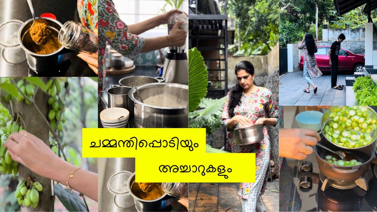 ചമ്മന്തിപ്പൊടിയും അച്ചാറുകളും ഒക്കെയായി ഒരു വൈകുന്നേരം | Evening vlog