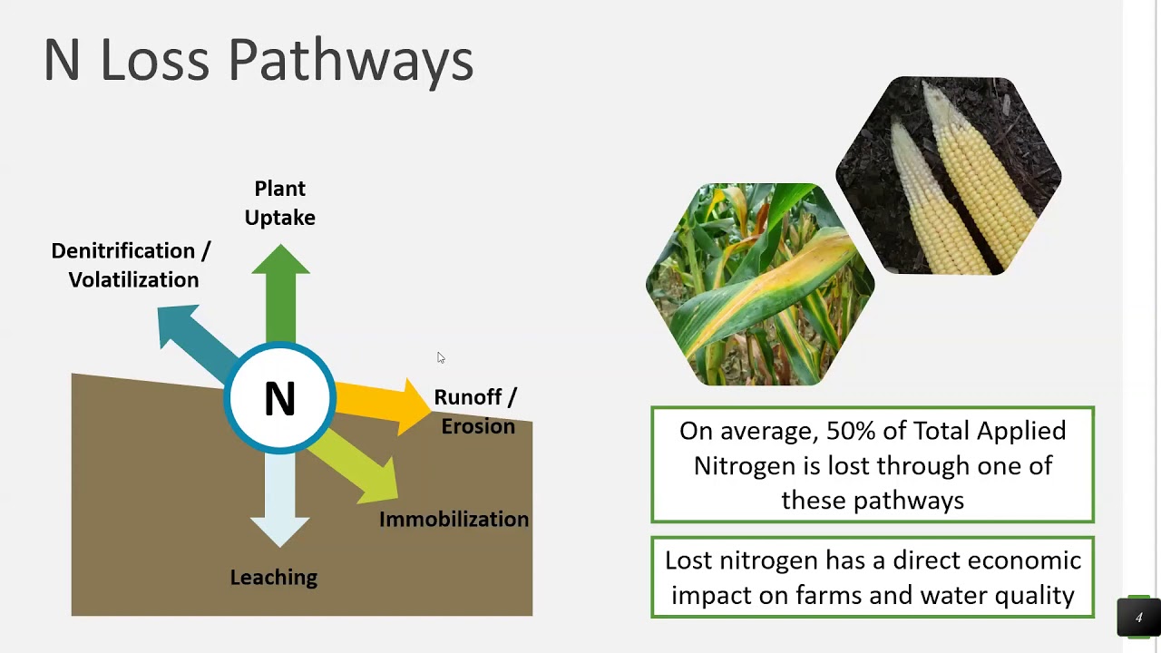 Nitrogen Loss Pathways with Eric Rosenbaum