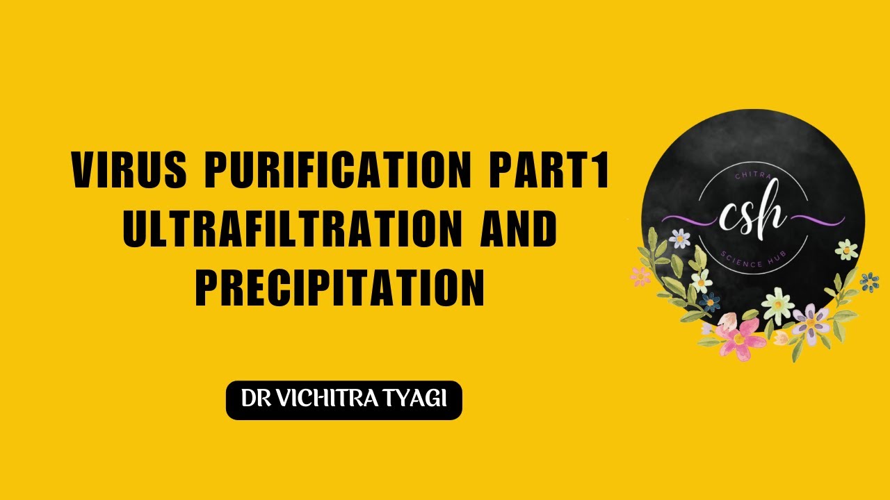 VIRUS PURIFICATION   PART1 Precipitation and Ultrafiltration #VIROLOGY