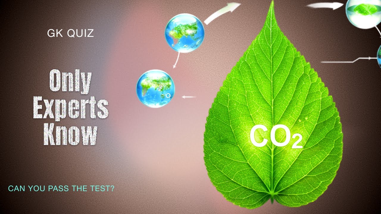 Beyond the Basics: A Multi-Disciplinary General Knowledge Test