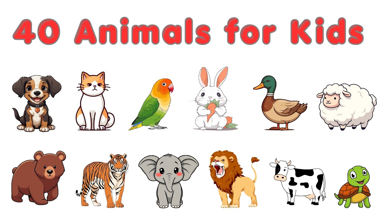 Animals Name | Learn Animals Name For Kids | Basic English Learning #Animals