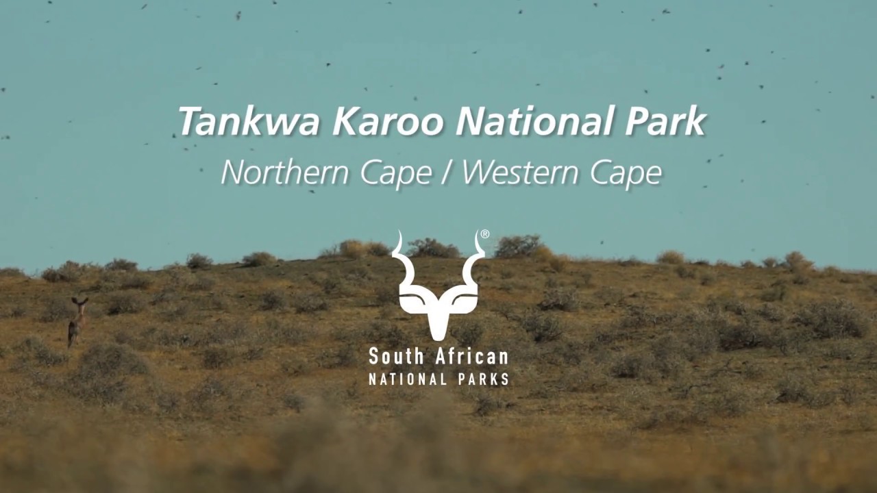 Tankwa Karoo National Park; one of South Africa's most underrated destinations
