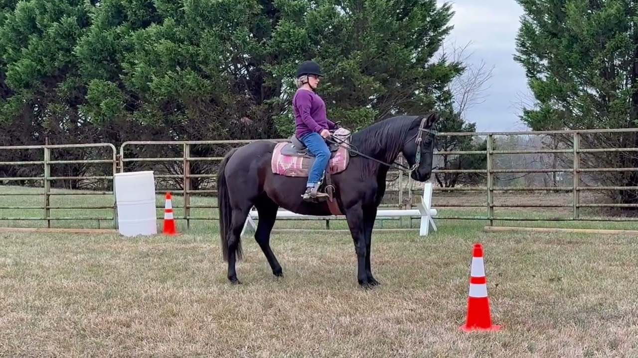 January 2026 TL Mounted Challenge Gypsy and Melissa