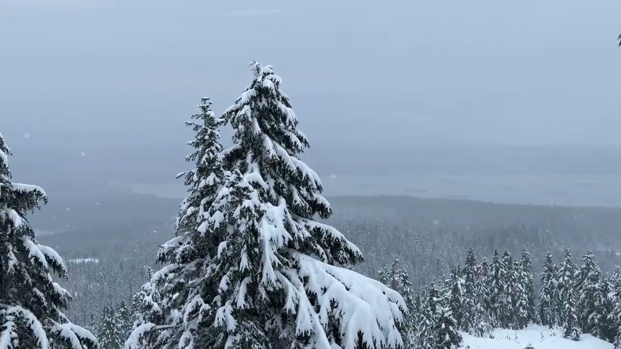 Hollyburn Mountain - Feb 2026