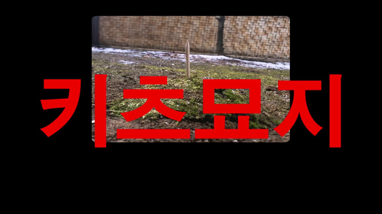 조광일(Gwangil Jo) - 키츠묘지