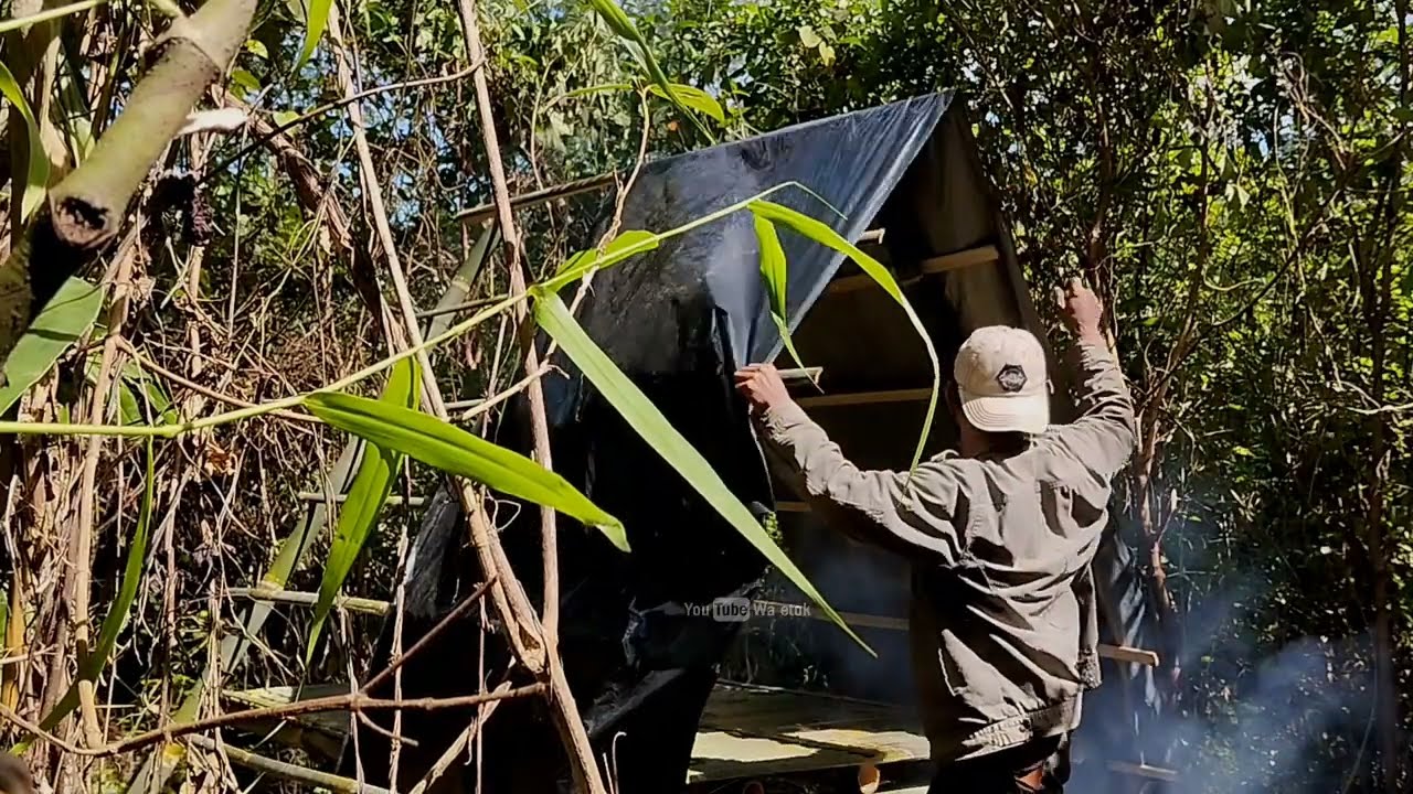 Diguyur hujan badai saat bermalam dihutan || solo bushcraft asmr