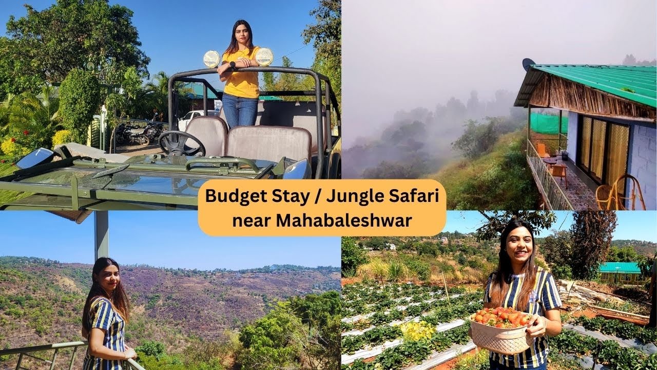 Budget Stay - Jungle Safari, Strawberry picking ,Open Air Theatre starting @ 3000 Rs - Mahabaleshwar