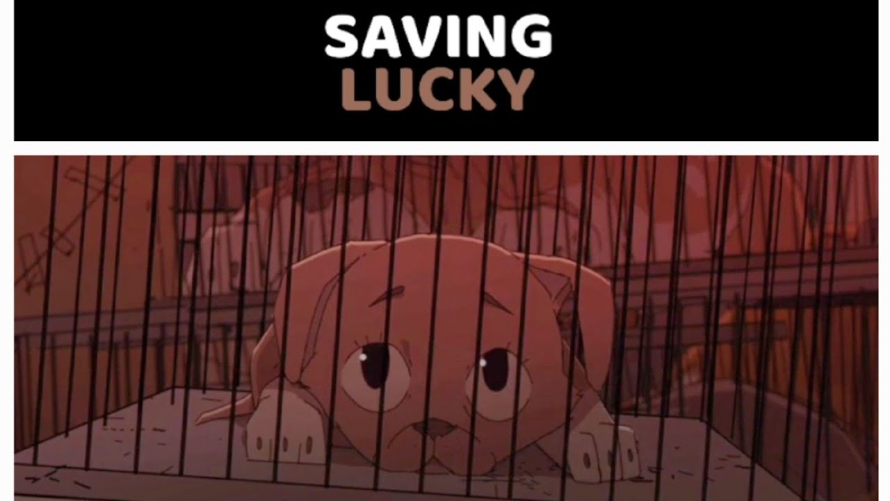 Saving Lucky (dog festival)                           #dog #dogmovie #doganimation #cute #pitbull