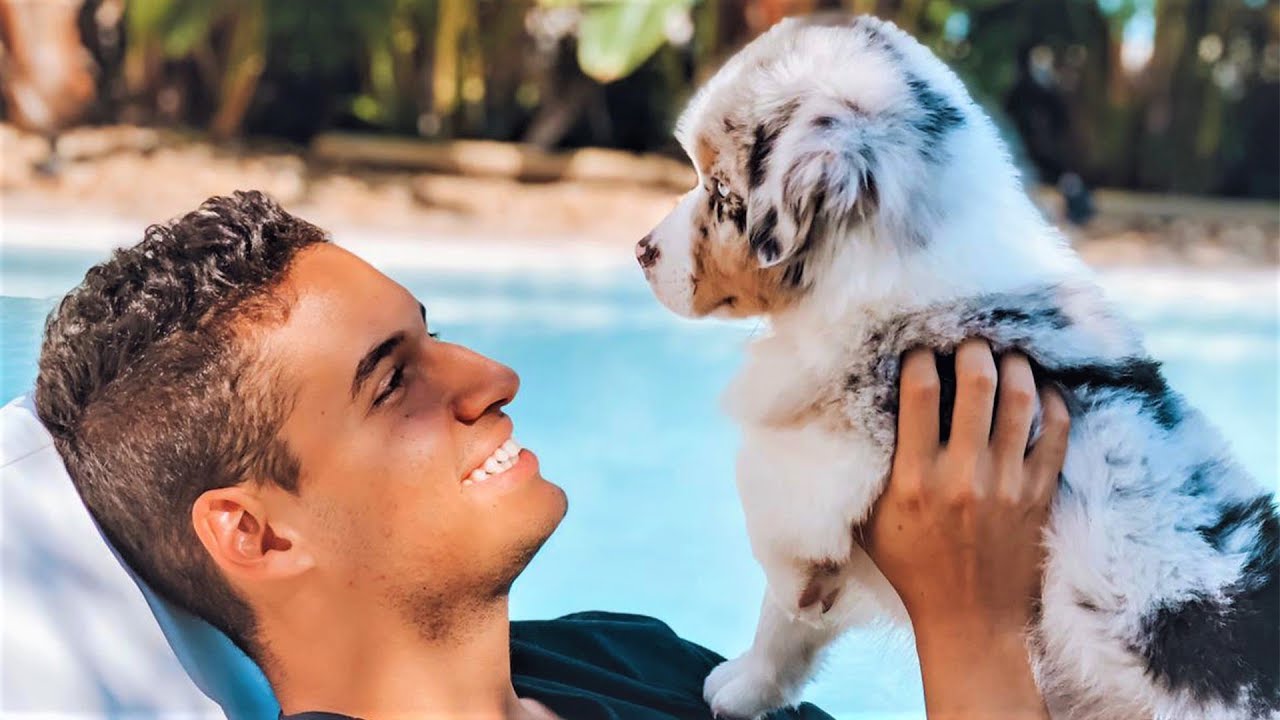 Homenagem ao meu amigo Duke!