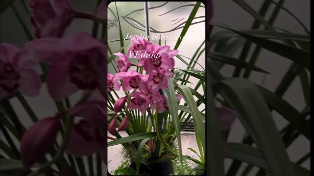 #natural