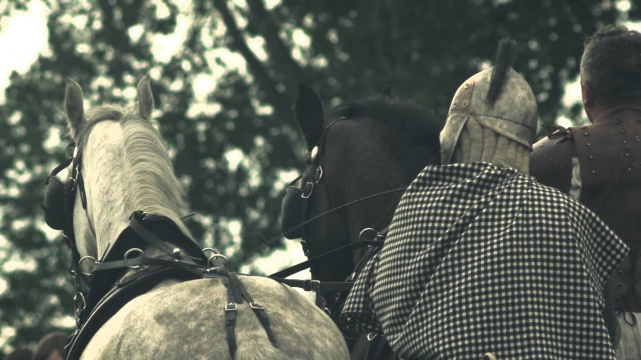 VI Europejskie Święto Bursztynu - Ożywiona Historia - Wieluń 2012