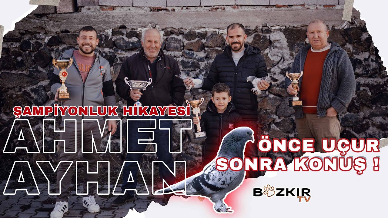 Ahmet Ayhan'ın Taklacı Güvercinleriyle Şampiyonlukları : Uçuş Sanatının Zirvesinde!