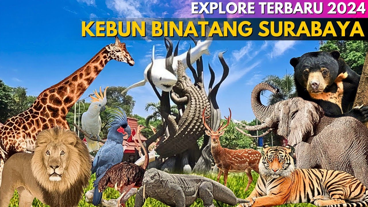 KEBUN BINATANG SURABAYA Terbaru ‼ Kondisi Terkini Dan Harga Tiket KBS