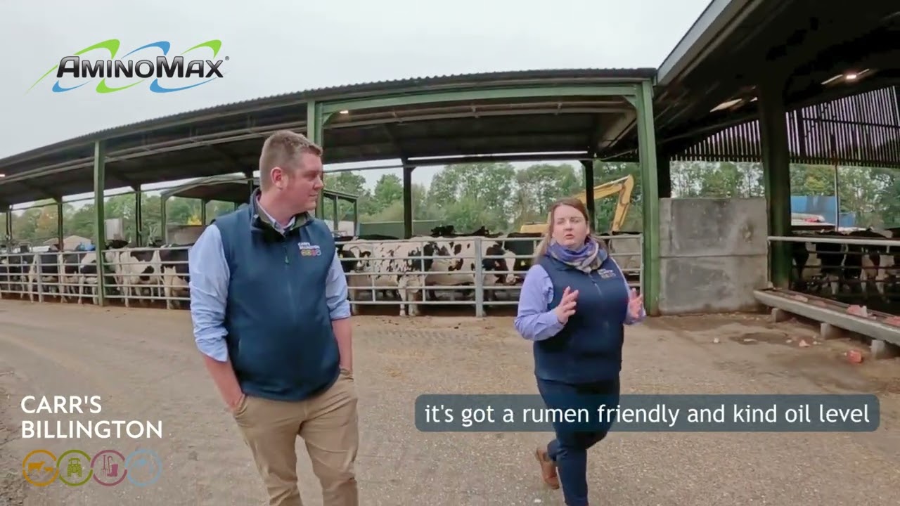 AMINOMAX – RUMEN PROTECTED PROTEINS FOR INCREASED MILK YIELDS 🥛🐄