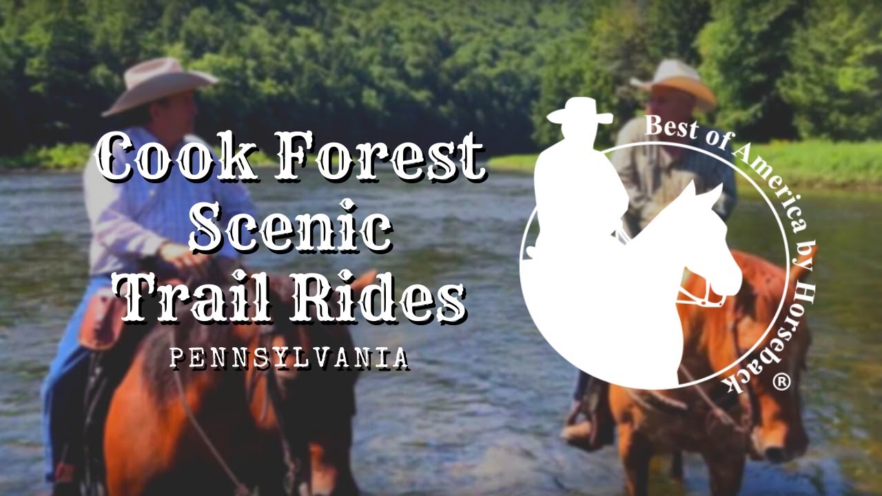 Cook Forest Scenic Trail Rides - PA (2018)