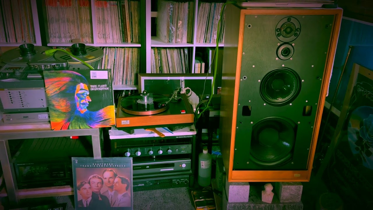 Organisation (Kraftwerk) 