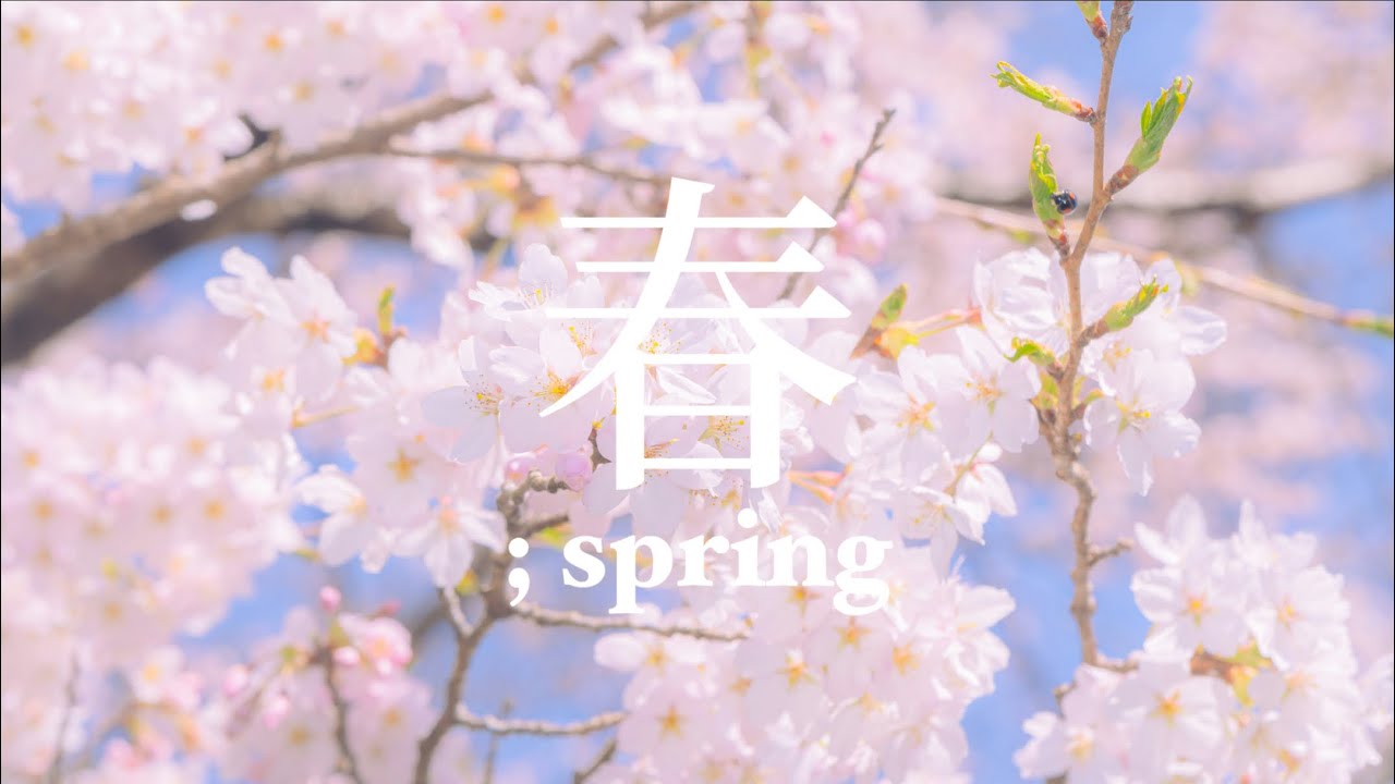 ᴘʟᴀʏʟɪsᴛ | 봄날의 설렘을 가득 담아 너에게 ᴊᴘᴏᴘ🌸