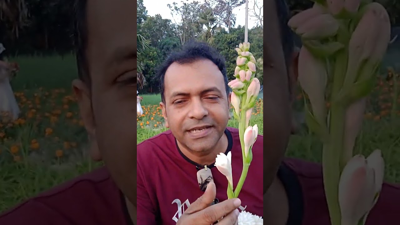 ফুলের ভালবাসা 