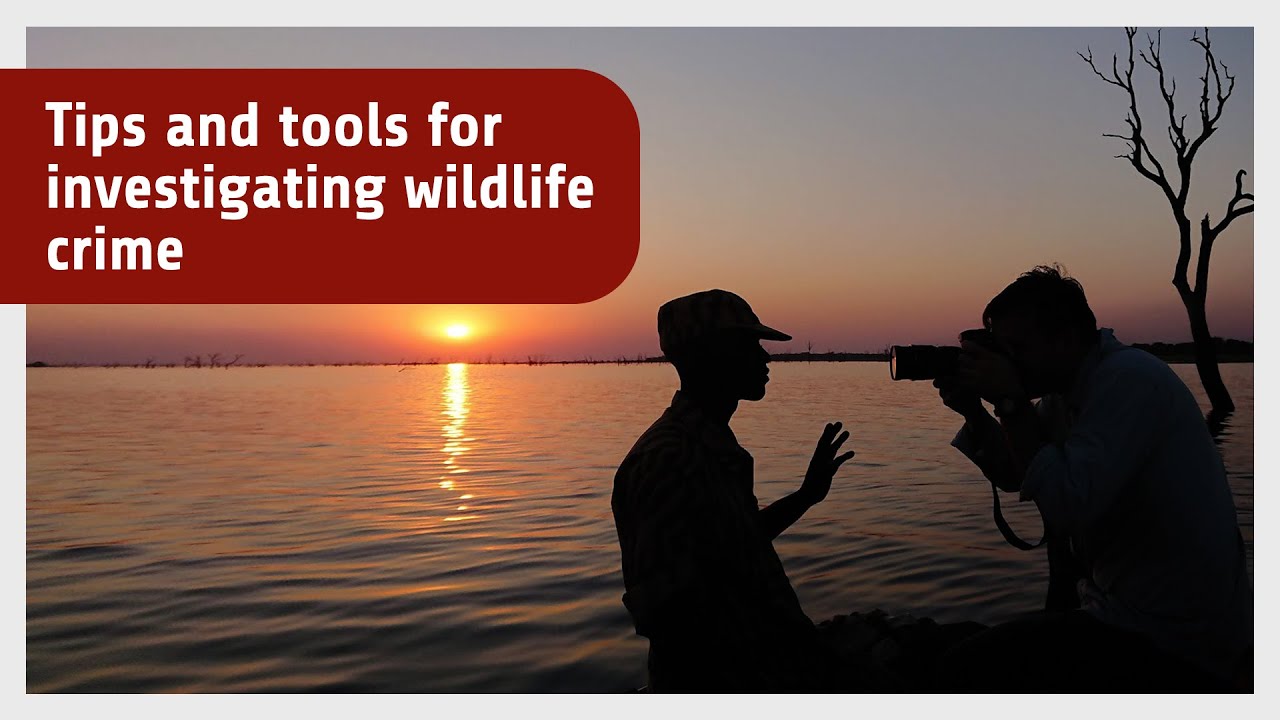 Tips and tools for investigating wildlife crime