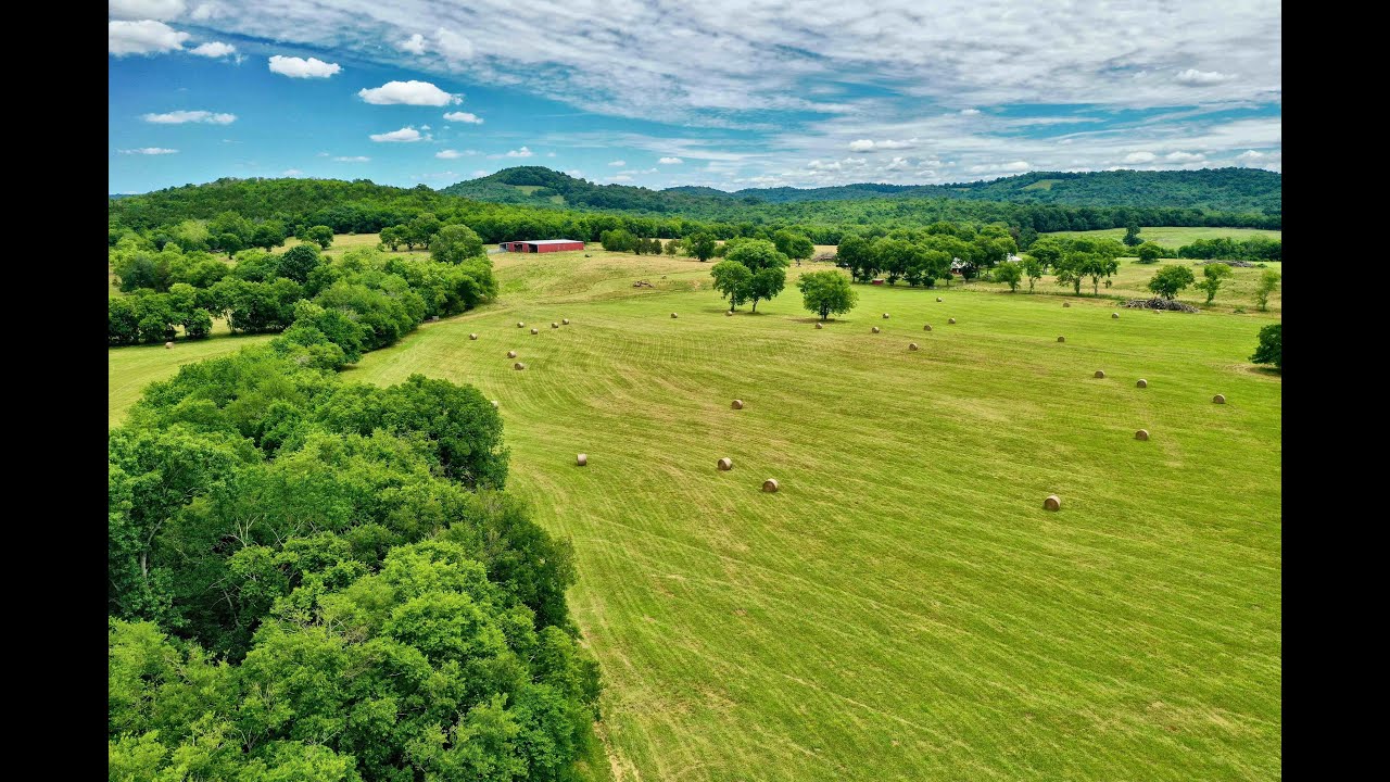 FOR SALE  |  279 Acres in Petersburg, TN 🐴