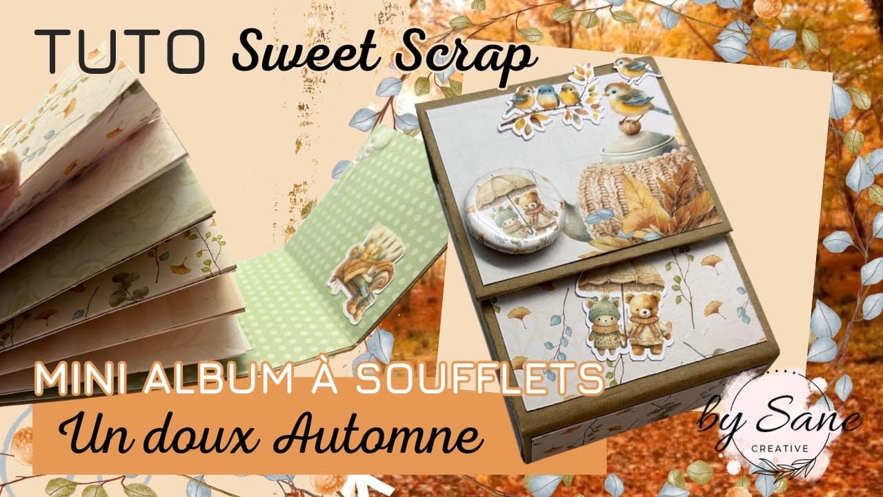 Tuto mini album a soufflets/ papier by sane