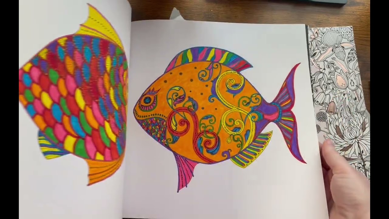 2 project books/buddy colors/channel color alongs #johannabasford26 