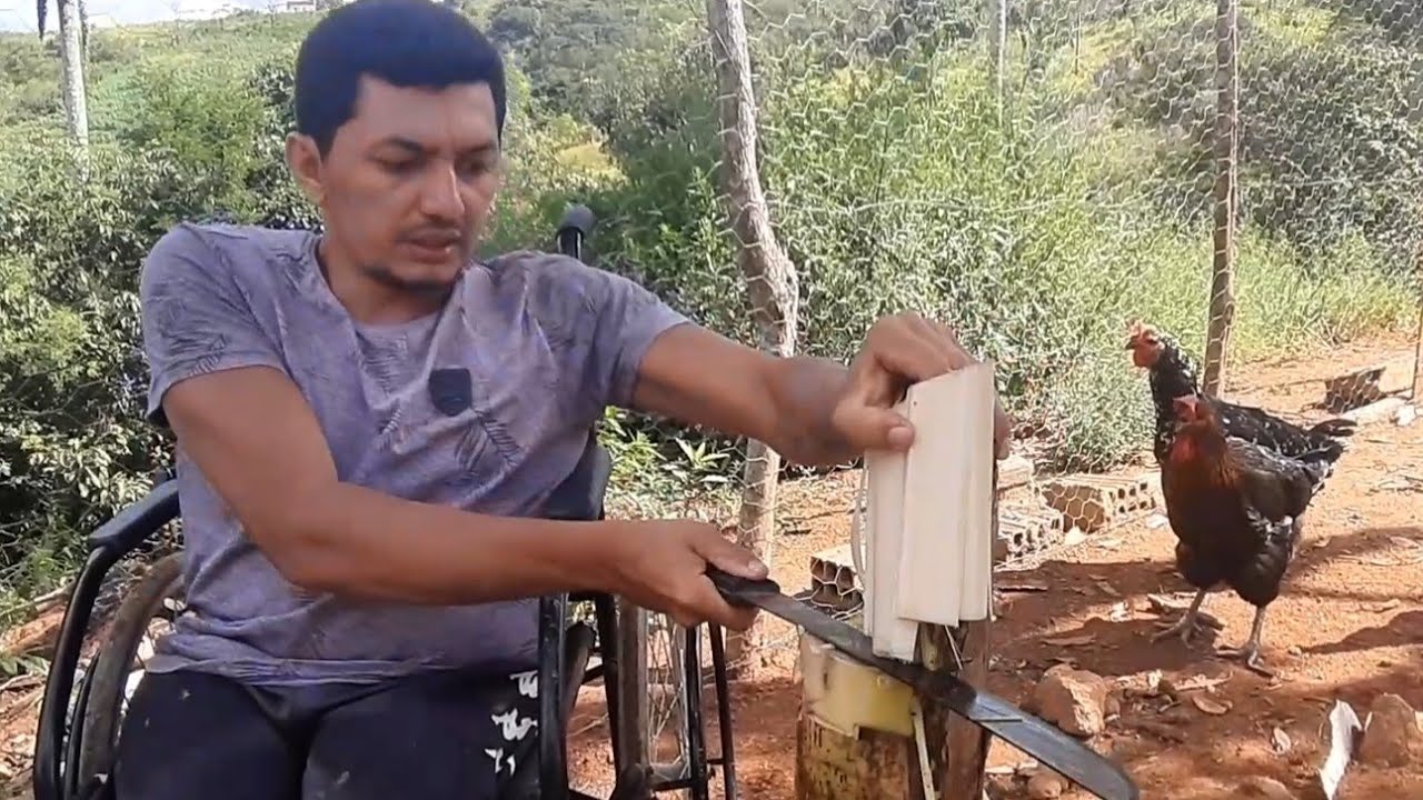 NÃO DÊ BANANEIRA PARA AS GALINHAS ANTES DE VER ESTE VÍDEO!