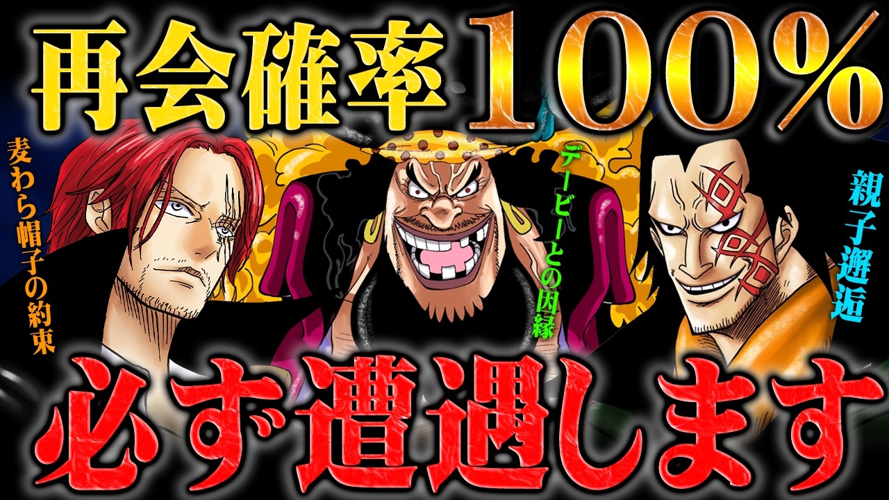 この者達とは絶対に再会してしまいます【ワンピース】
