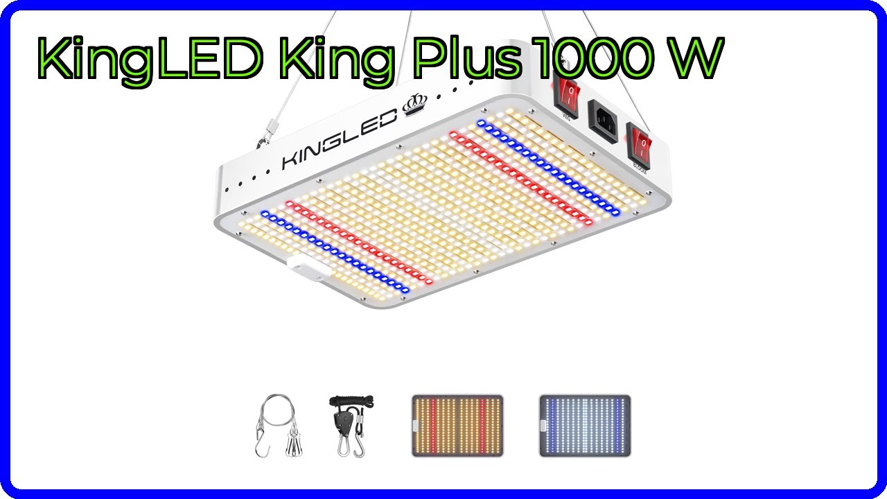 RESE&Ntilde;A: KingLED King Plus 1000 W. DETALLES ESENCIALES