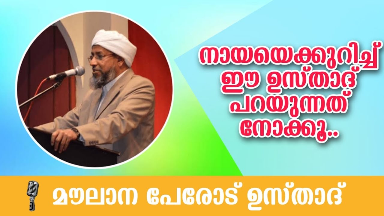 നായയെ ക്കുറിച്ച് ഈ ഉസ്താദ് പറയുന്നത് കേൾക്കണം |പേരോട് ഉസ്താദ്