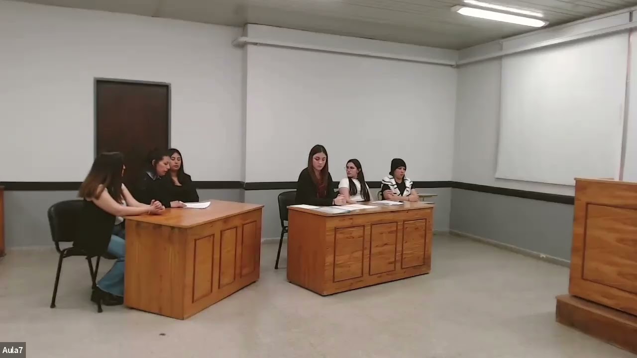 Audiencia preliminar civil