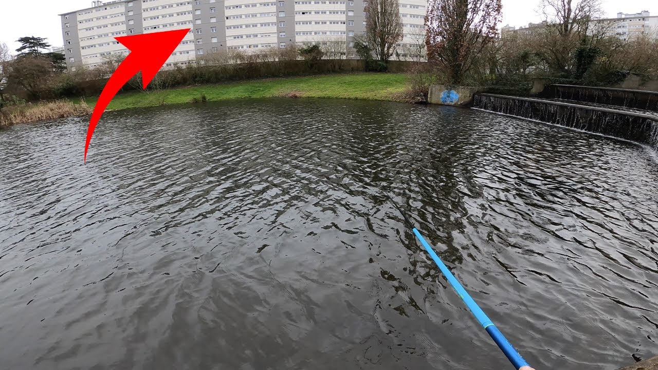 PÊCHE au BOUCHON au pied des IMMEUBLES de mon ENFANCE ... (pêche insolite)