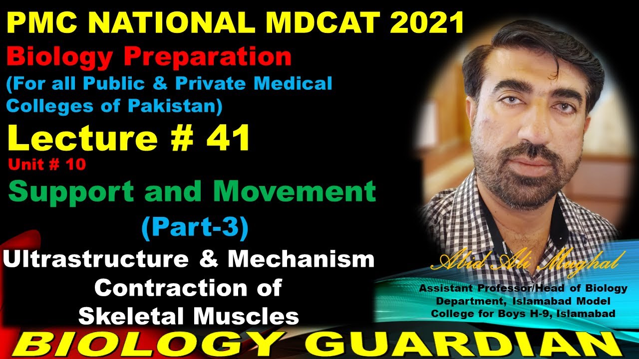 Lecture 41 Biology PMC National MDCAT 2021 | Muscles, Ultra Structure & Mechanism of Contraction