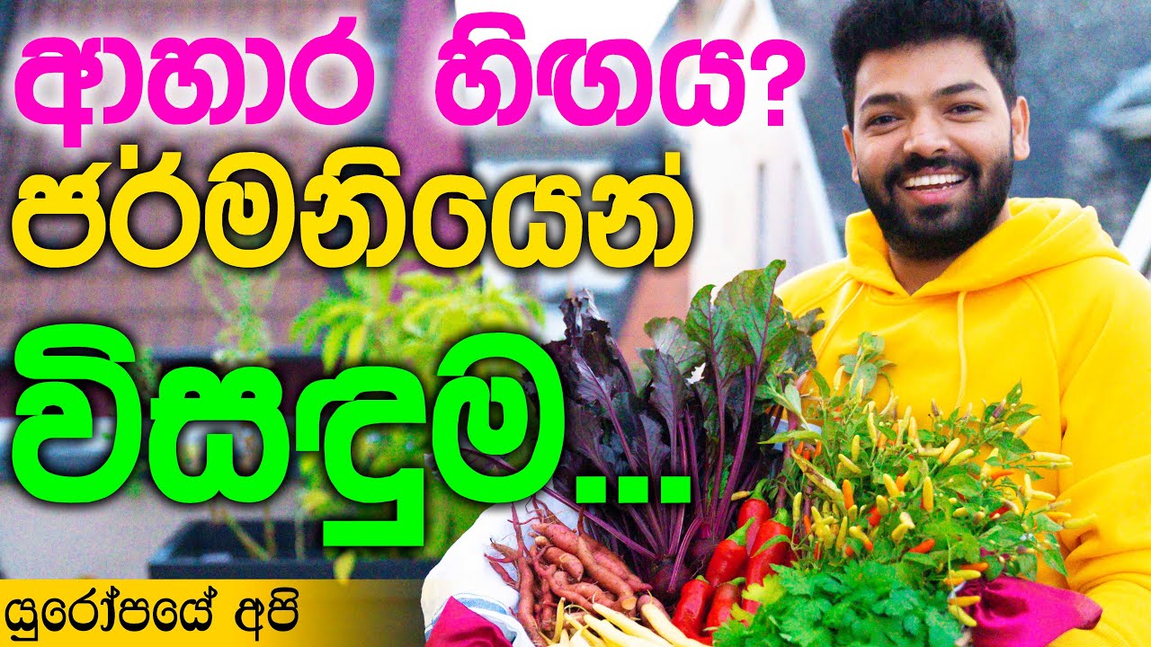ආහාර හිඟයට ජර්මනියේ කොල්ලෙක් කරපු ගෙවතුවගාව | Home Farming in Germany