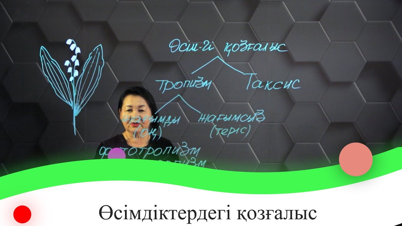 Өсімдіктердегі қозғалыс. 7 сынып.