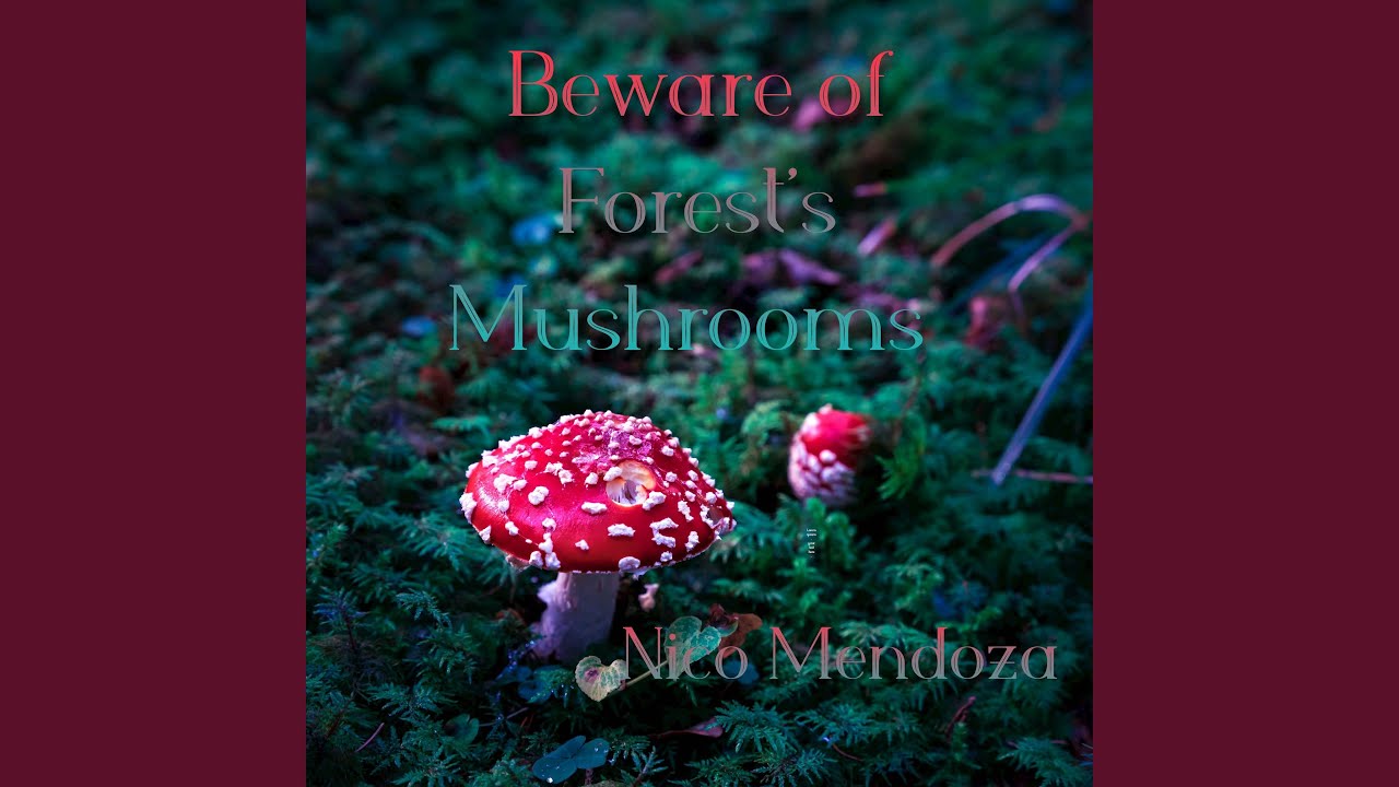 Beware of Forest's Mushrooms (From: 