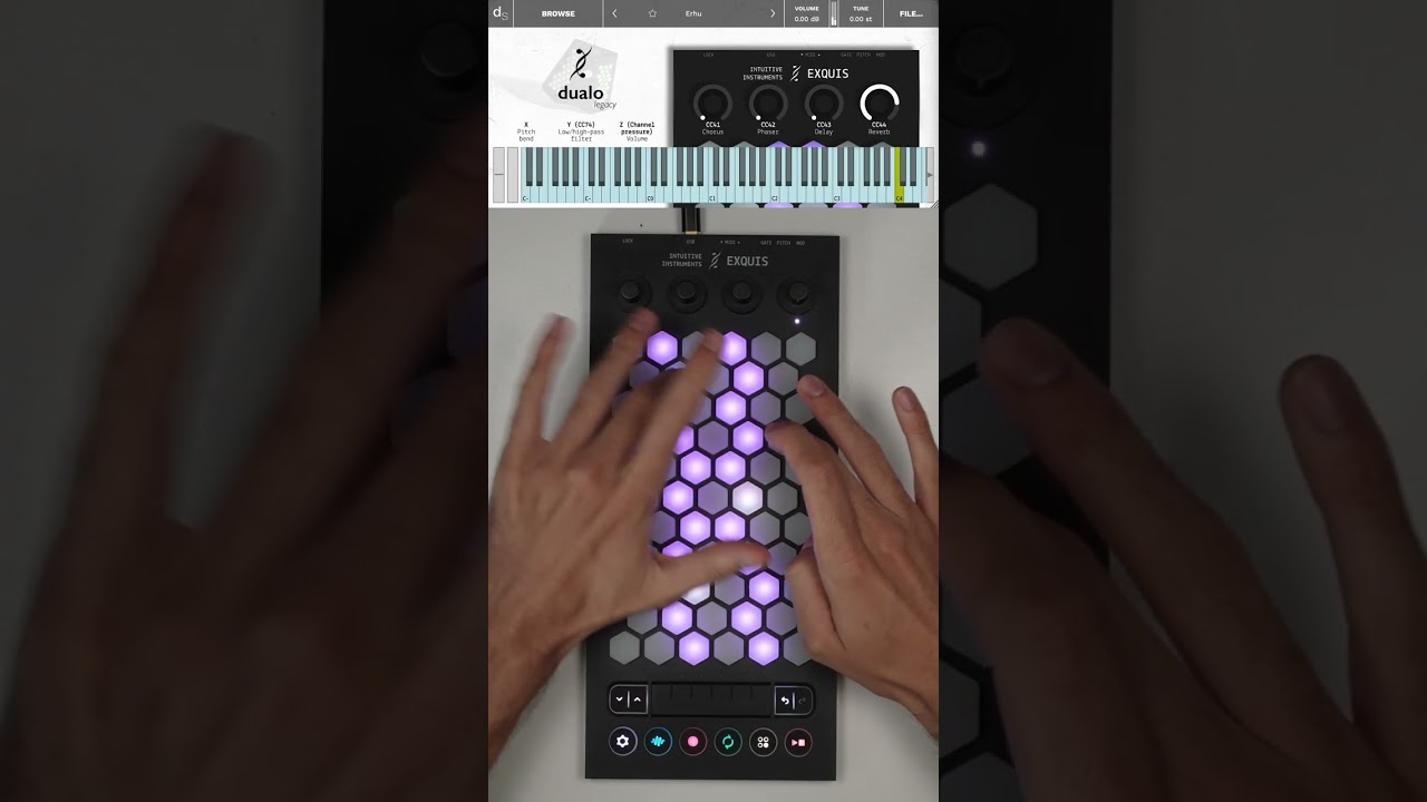 Exquis - @decentsamples Dualo Legacy soundbank preview