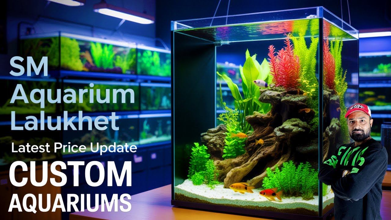 Best Custom Aquarium Shop in Lalukhet 🔥 | Latest Prices | SM Aquarium Karachi