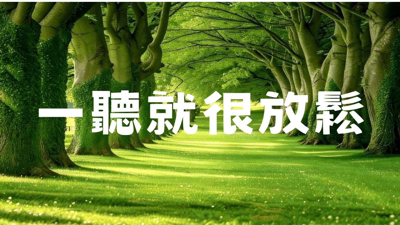 【HEALING & RELAXING BGM】一聽就很放鬆！柔和音樂，讓聲音如鯨聲撫平你的煩憂