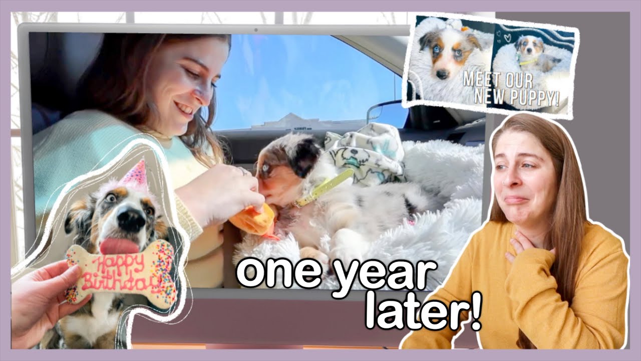 Did We Do Everything Right When Bringing Home Our Puppy? Reacting to Puppies First 48 Hours | 1 Year