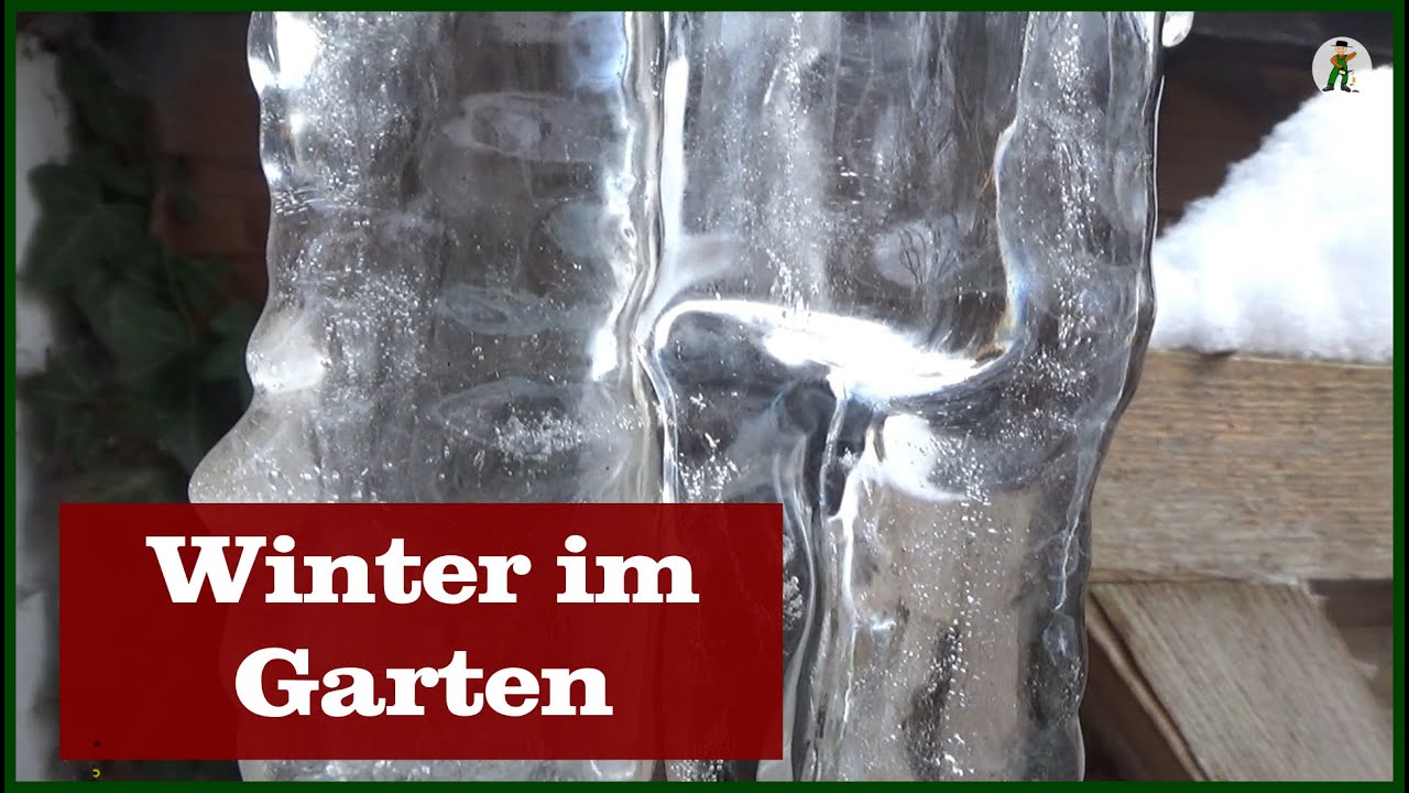 Schnee im Garten am 1. Advent