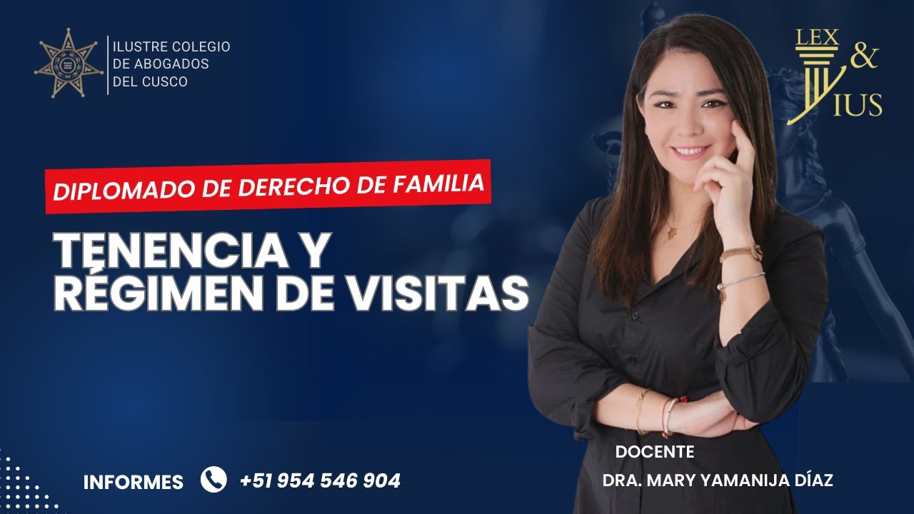 SESIÓN 6 TENENCIA, RÉGIMEN DE VISITAS Y PENSIÓN DE ALIMENTOS