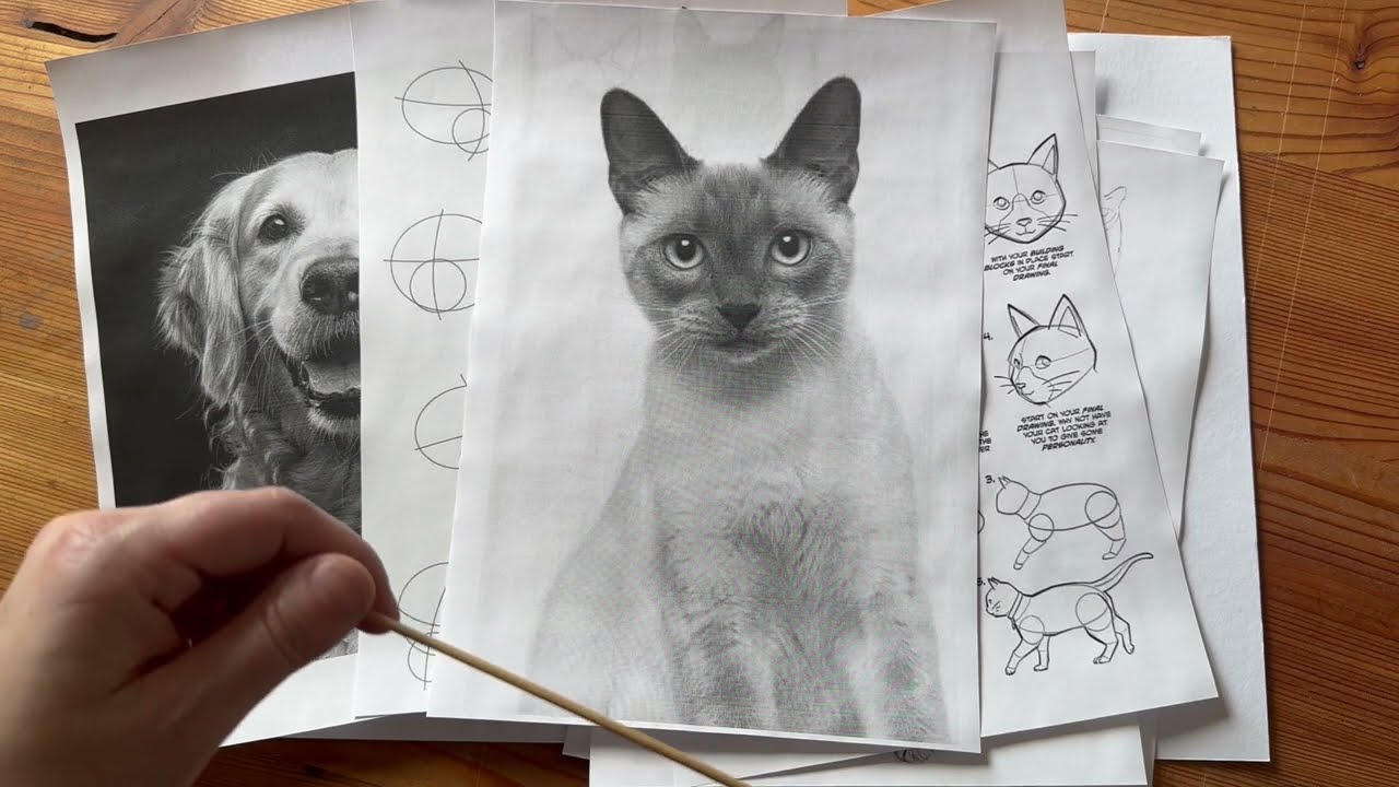 Kresba pro začátečníky- zvíře