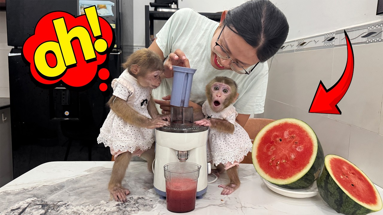 Lucky and Sunny’s surprising reaction when Mom makes them watermelon juice!