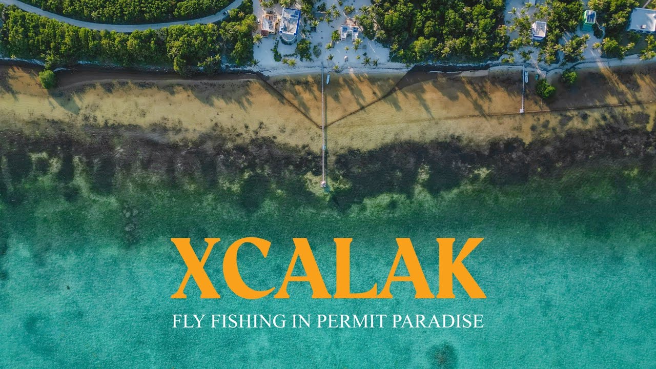 Permit on Dry Flies - XCALAK on the Fly - Mexico 2024