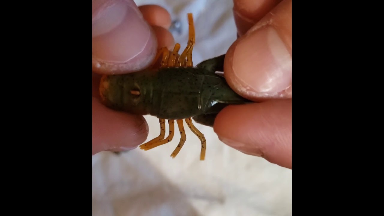 How to Jig-Rig a Crawbug