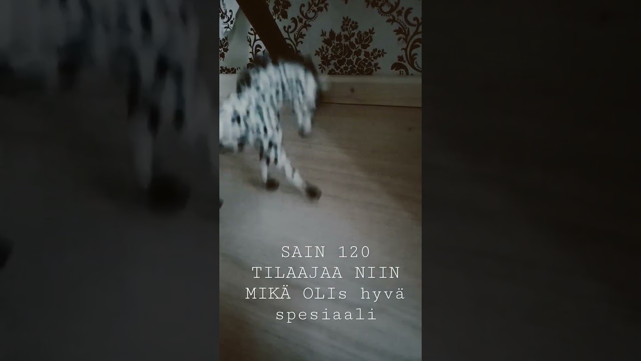 Mik&auml; olis 120 tilaaja spessu? #shorts