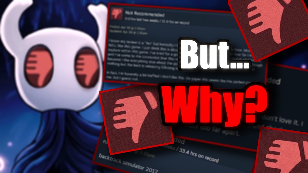 Are Hollow Knight's NEGATIVE Reviews VALID?