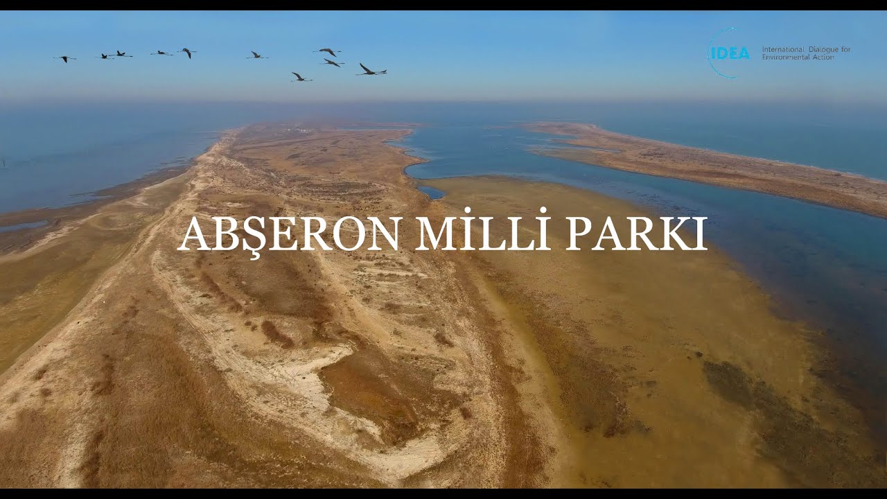 Абшеронский Национальный Парк  ~  Abşeron Milli Parkı (rusça)