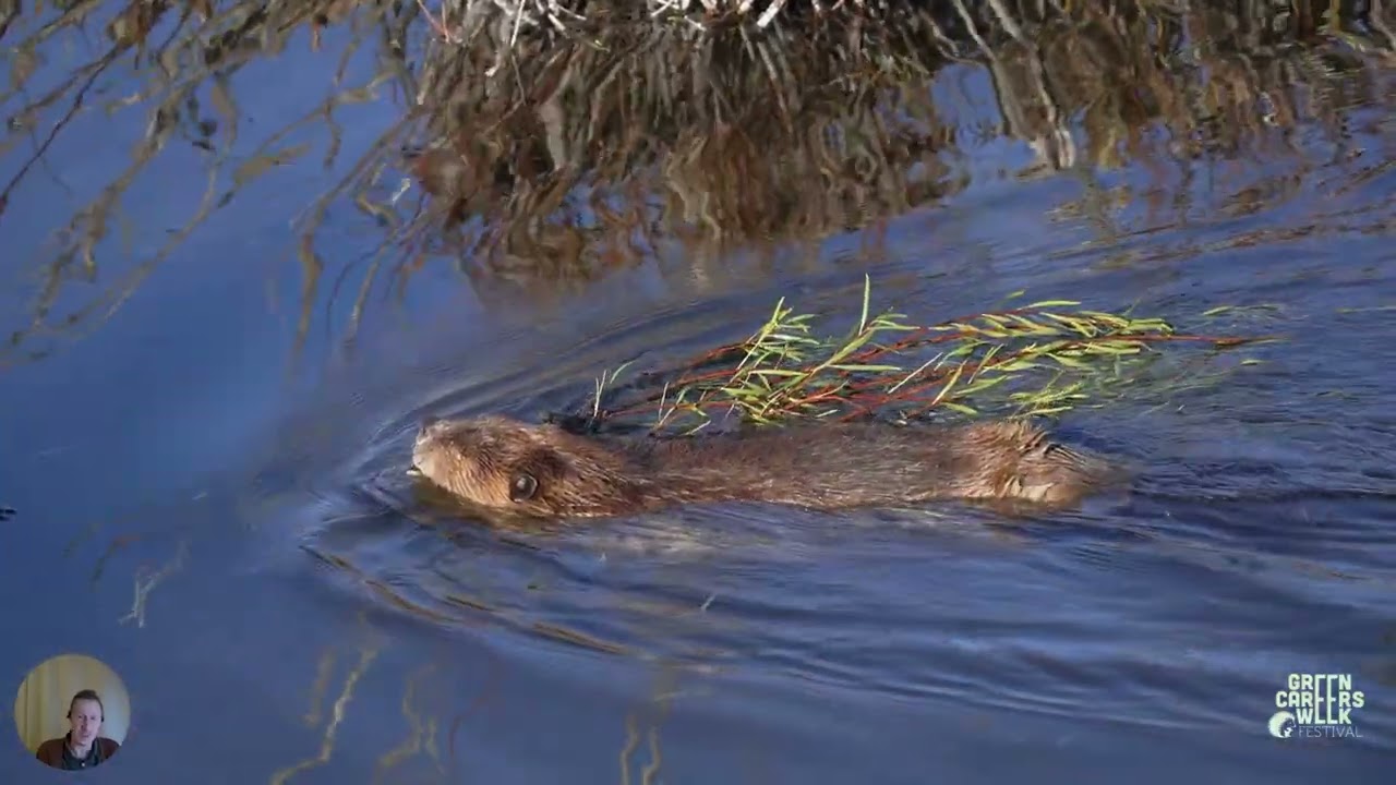 Why Nature Needs You